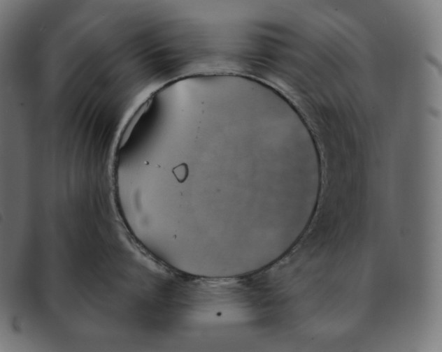 X0000092330864200710121532