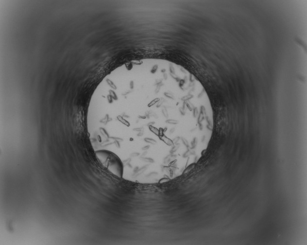 X0000092330866200710121532