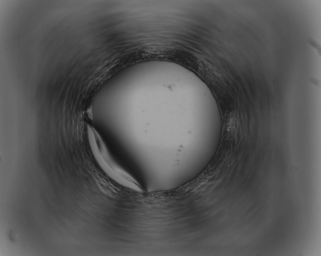 X0000092330868200710121532