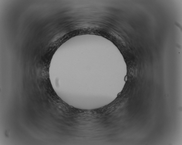 X0000092330869200710121532