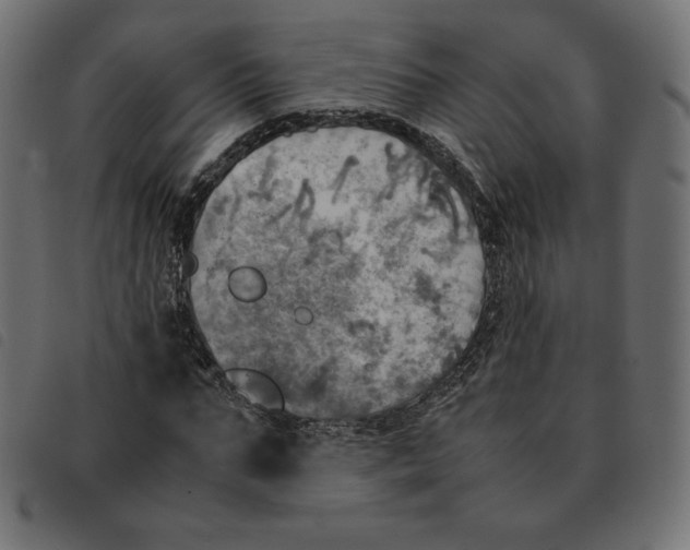 X0000092330871200710121532