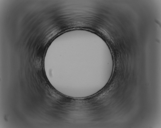 X0000092330873200710121532