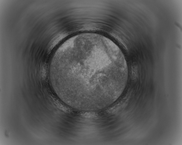 X0000092330874200710121532