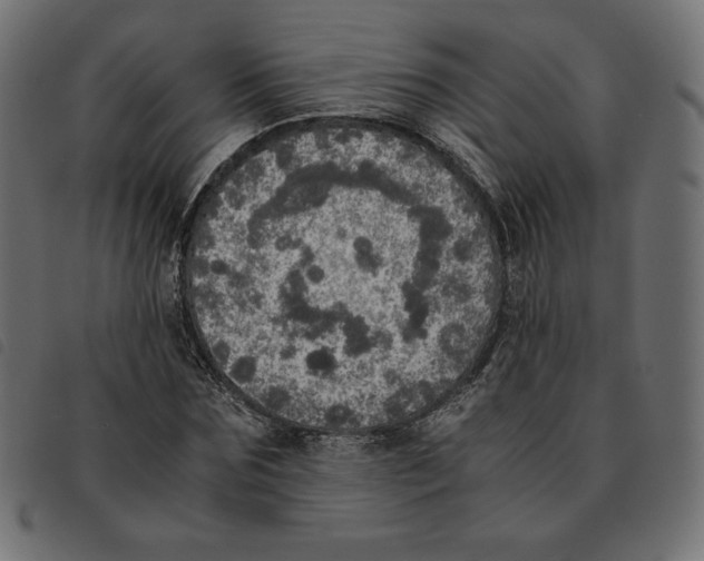 X0000092330875200710121532