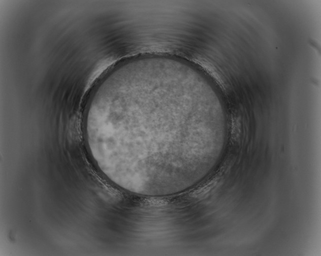 X0000092330878200710121532
