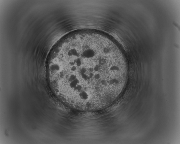 X0000092330879200710121531