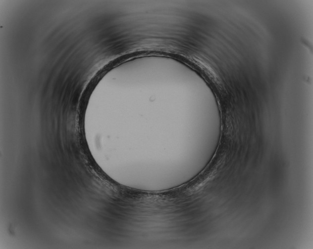 X0000092330880200710121531