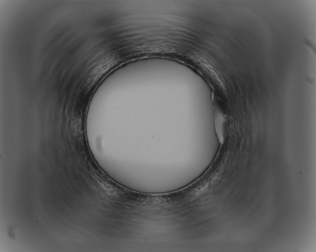 X0000092330881200710121531