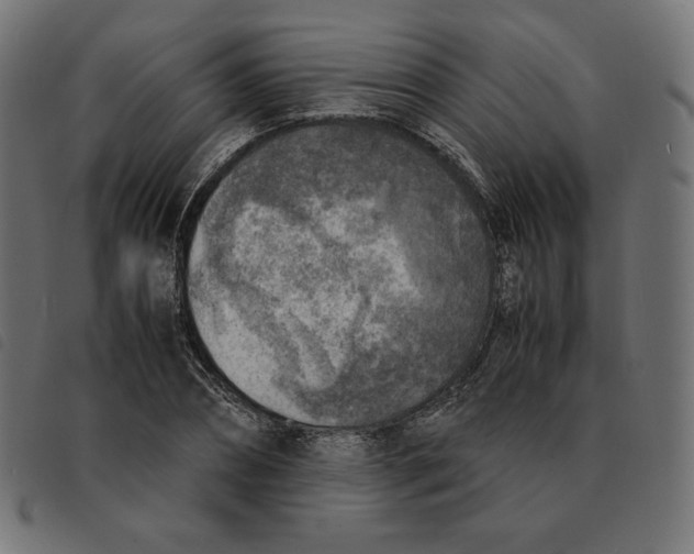 X0000092330882200710121531