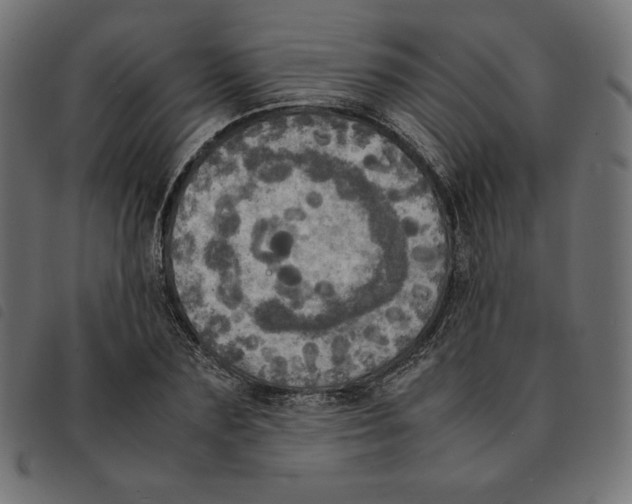 X0000092330883200710121531