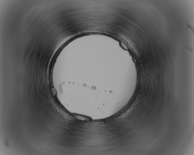 X0000092330884200710121531