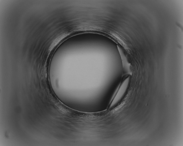 X0000092330885200710121531