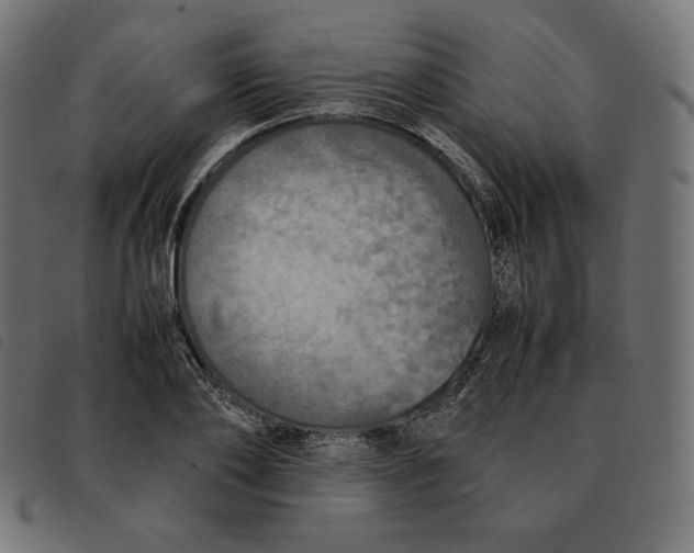 X0000092330886200710121531