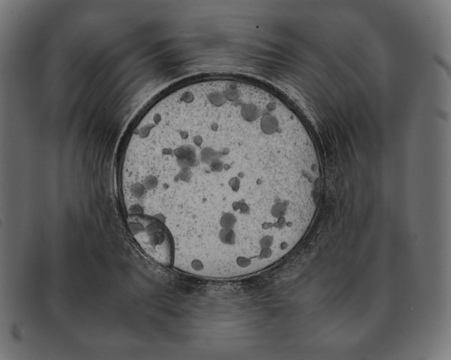 X0000092330887200710121531