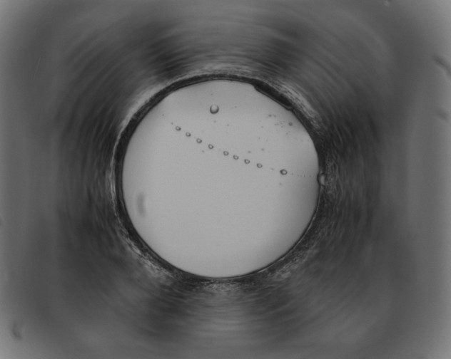 X0000092330888200710121531
