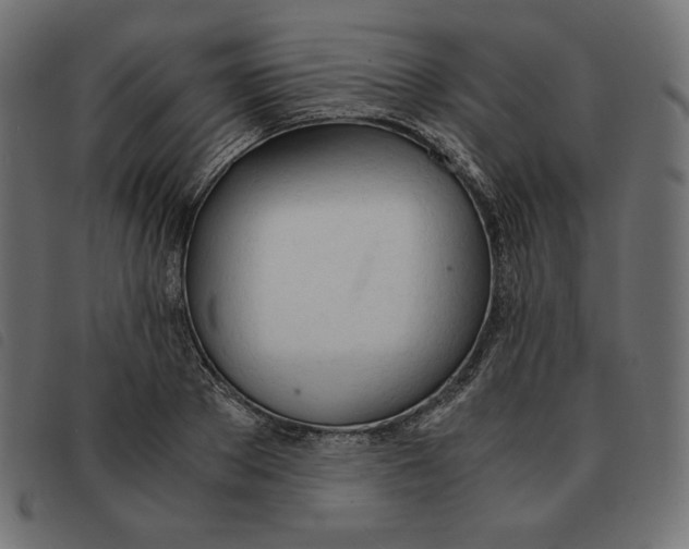 X0000092330889200710121531