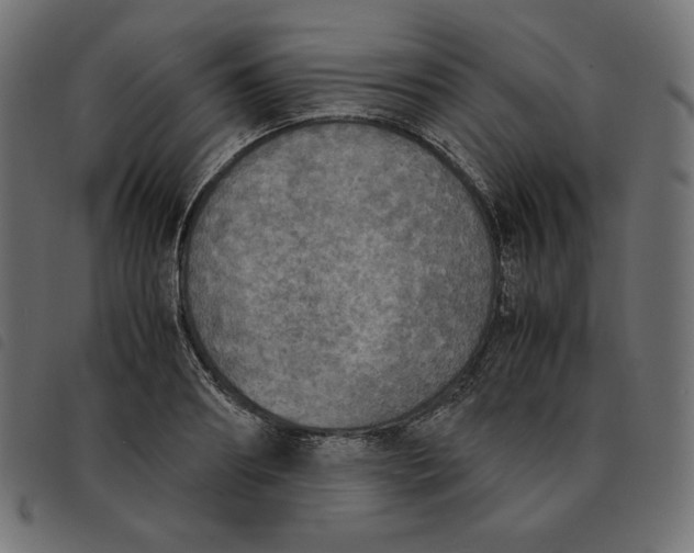 X0000092330890200710121531