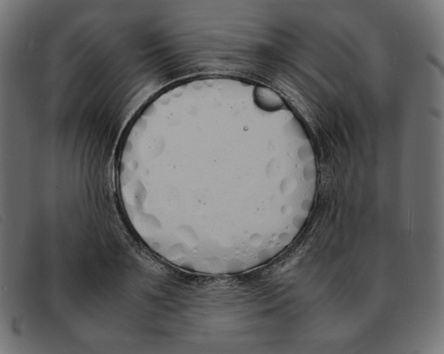 X0000092330891200710121531