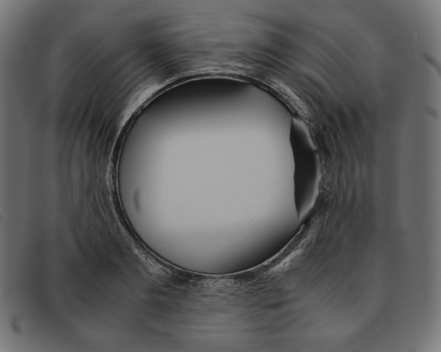 X0000092330893200710121531
