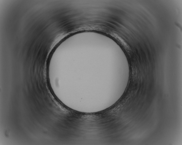 X0000092330894200710121531