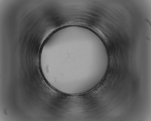 X0000092330896200710121531