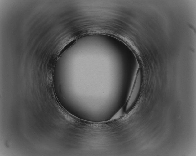 X0000092330897200710121531