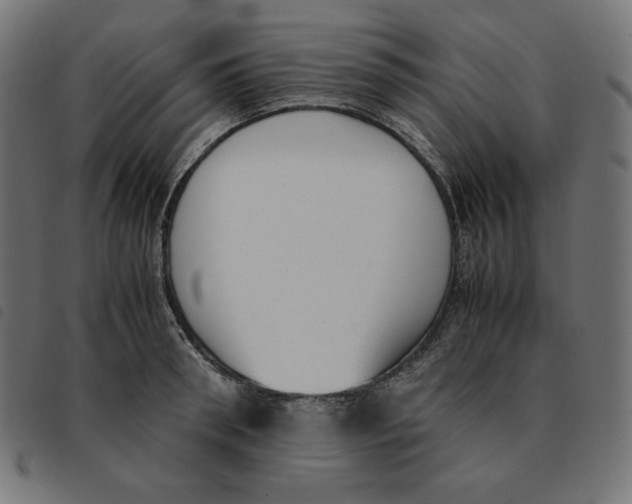 X0000092330898200710121531