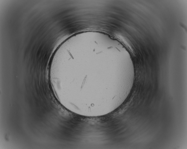 X0000092330900200710121531