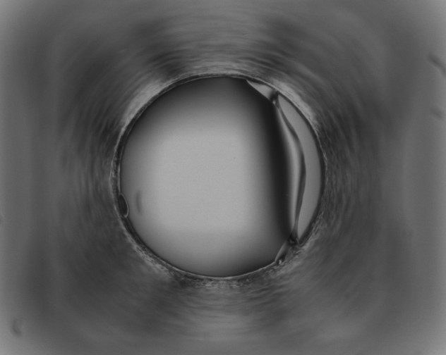 X0000092330901200710121531