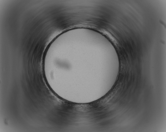 X0000092330902200710121531