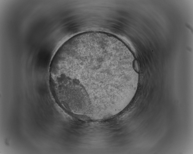 X0000092330903200710121531