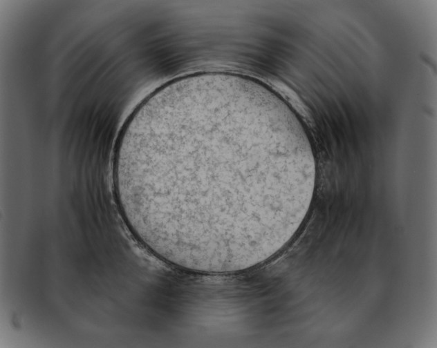 X0000092330904200710121531