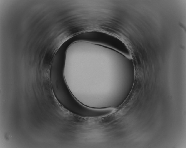 X0000092330905200710121531