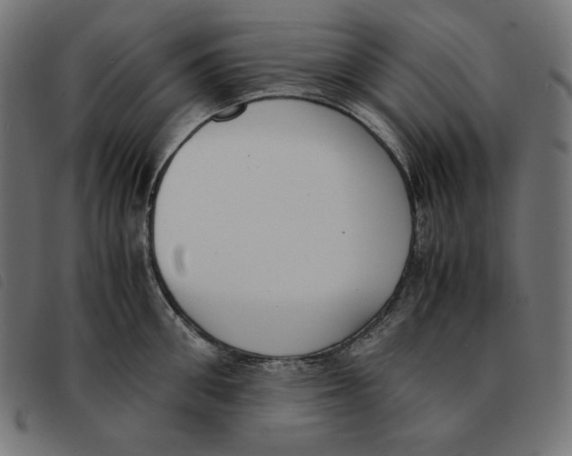 X0000092330906200710121531