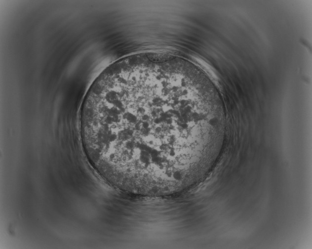 X0000092330907200710121531