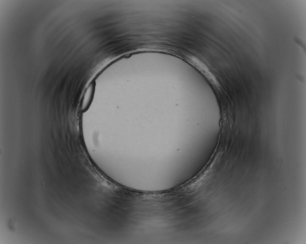 X0000092330908200710121531