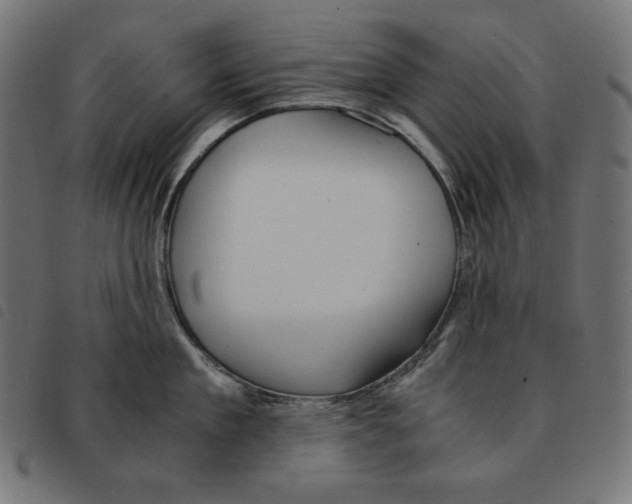 X0000092330909200710121531