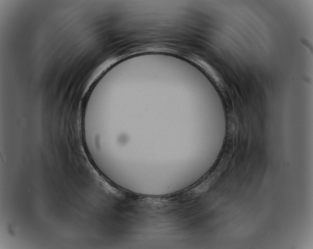 X0000092330910200710121531