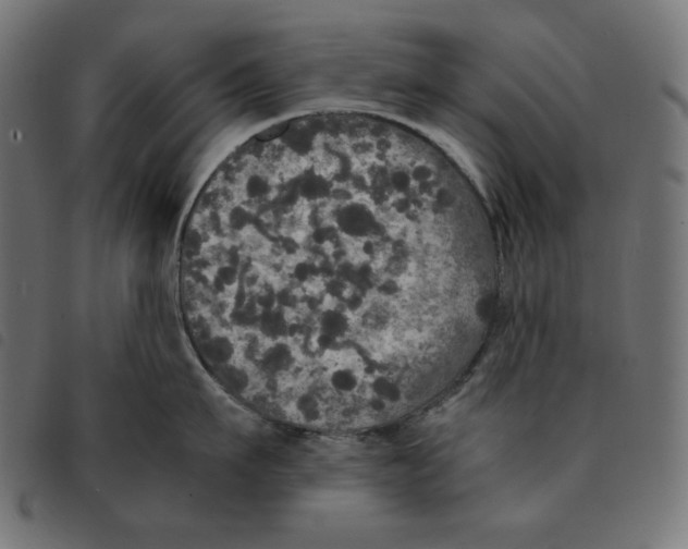 X0000092330911200710121531