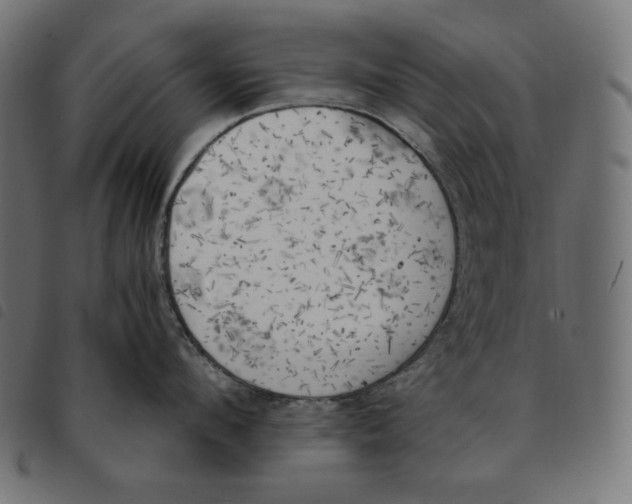 X0000092330912200710121531