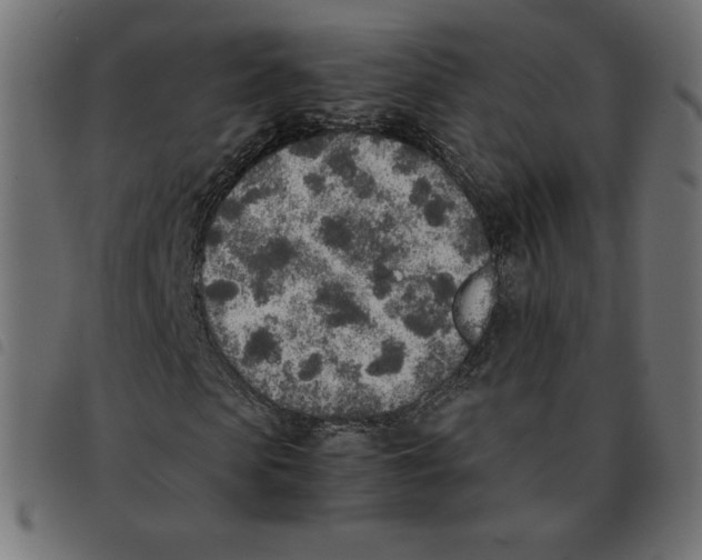 X0000092330913200710121530