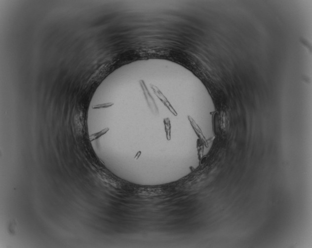 X0000092330915200710121530