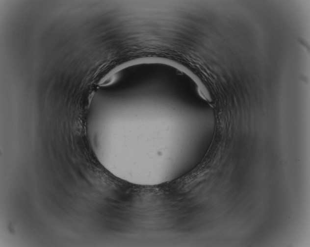 X0000092330916200710121530