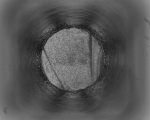 X0000092330917200710121530