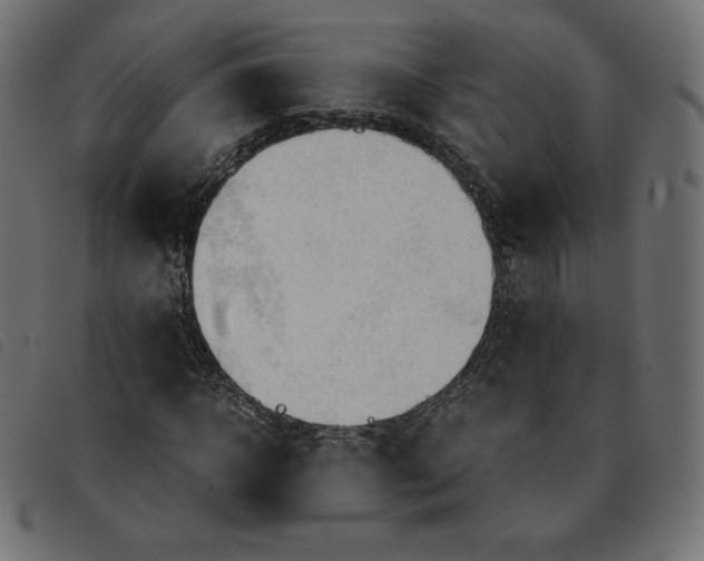 X0000092330918200710121530