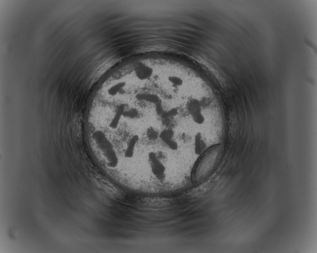 X0000092330921200710121530