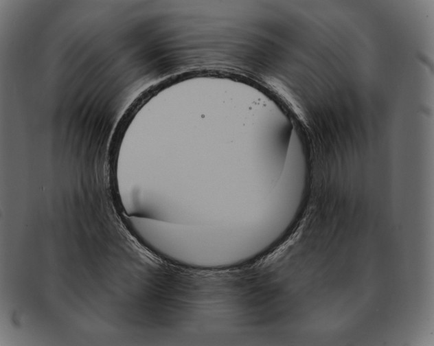 X0000092330924200710121531