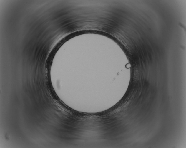 X0000092330926200710121531
