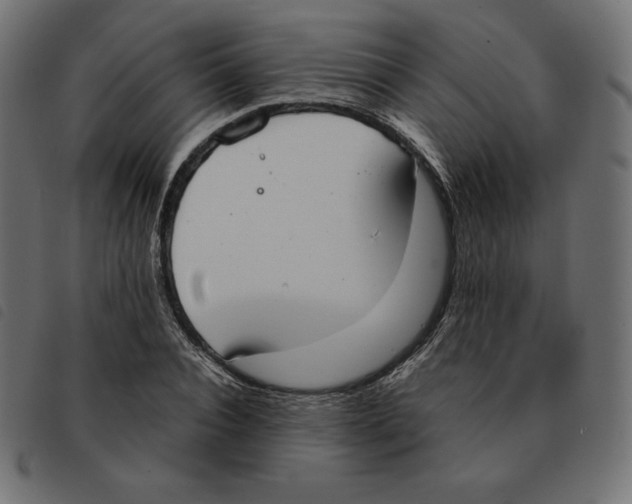 X0000092330928200710121531