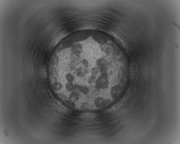 X0000092330929200710121531